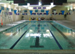 aquatics-coracoleman